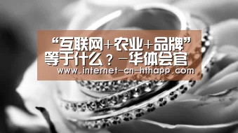 “互联网+农业+品牌”等于什么?-华体会官网下载(图2) 华体会体育app下载