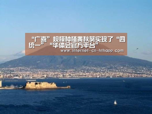 华体会官网下载