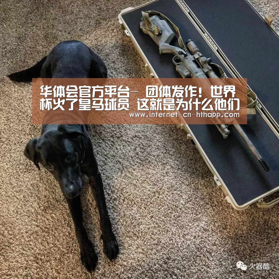 华体会官方平台-
团体发作!世界杯火了皇马球员 这就是为什么他们可以欧冠3连冠(图1) 华体会官方平台