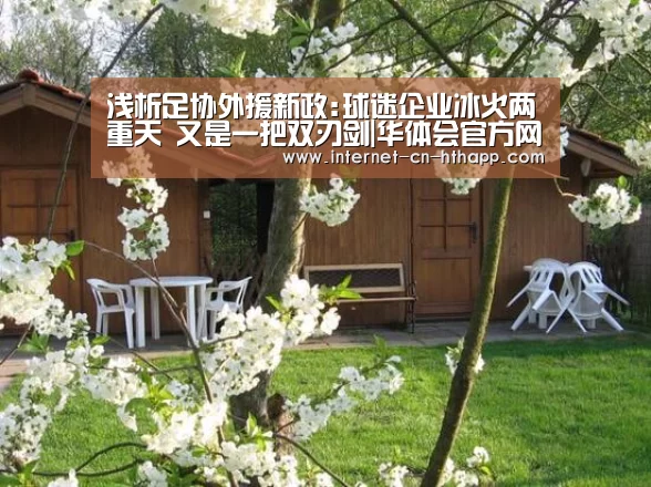 浅析足协外援新政:球迷企业冰火两重天 又是一把双刃剑|华体会官方网站入口(图3) 华体会官方平台