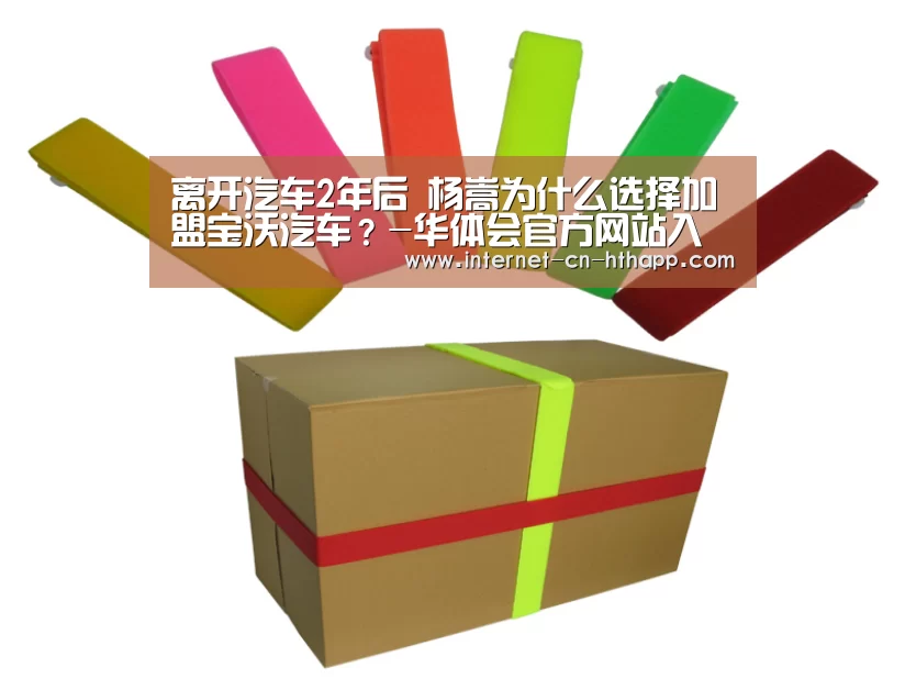 离开汽车2年后 杨嵩为什么选择加盟宝沃汽车?-华体会官方网站入口(图2) 华体会官方平台