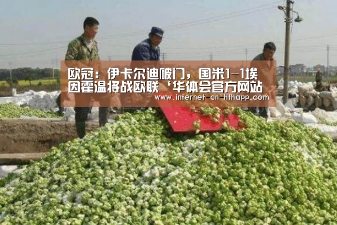 欧冠:伊卡尔迪破门,国米1-1埃因霍温将战欧联‘华体会官方网站入口’(图3) 华体会官方网站入口