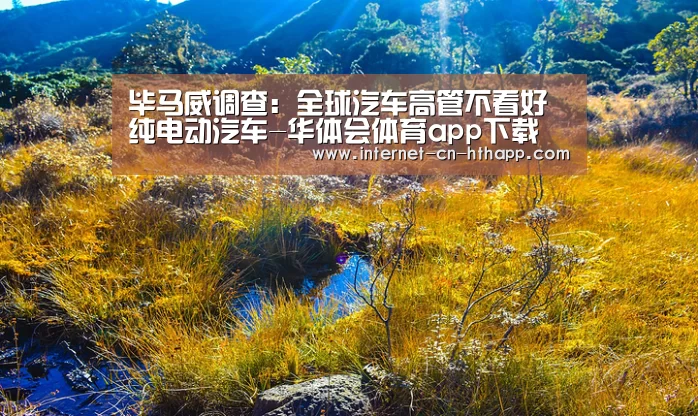 毕马威调查:全球汽车高管不看好纯电动汽车-华体会体育app下载(图1) 华体会官方平台