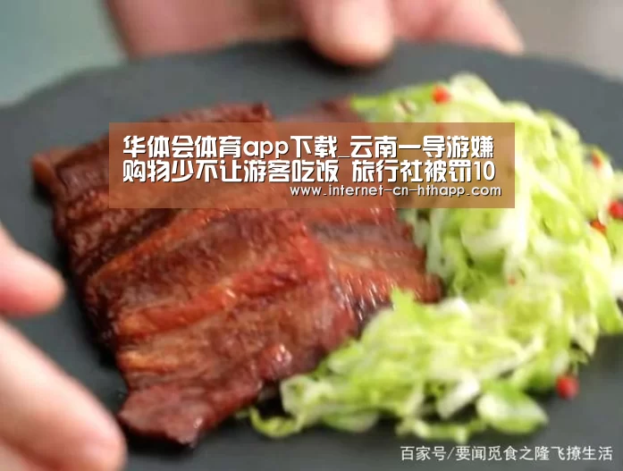 华体会体育app下载_云南一导游嫌购物少不让游客吃饭 旅行社被罚10万(图3) 华体会官方网站入口