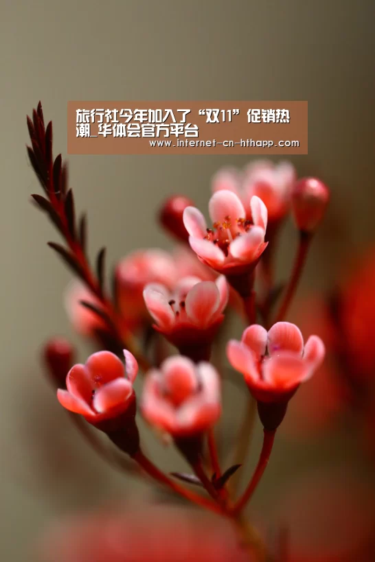 华体会官网下载